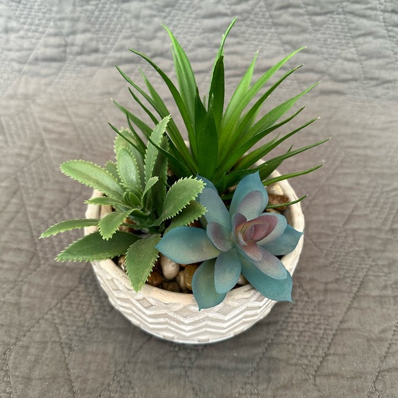 Artificial faux plant succulents with ceramic pot - Picture 5 of 8